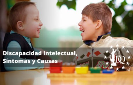 Discapacidad Intelectual Síntomas y Causas