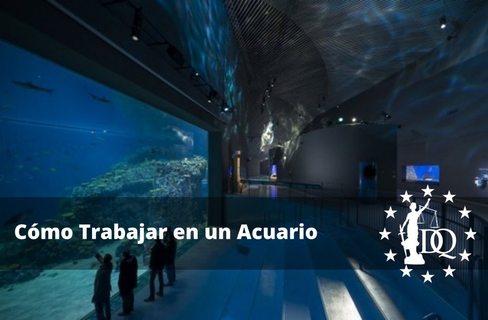 Cómo Trabajar en un Acuario