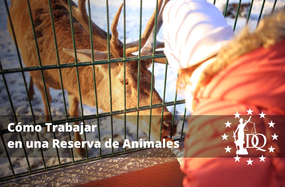 Cómo Trabajar en una Reserva de Animales