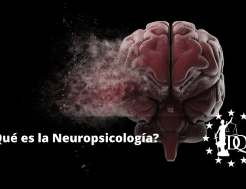 ¿Qué es la Neuropsicología? Infantil, Cognitiva, Forense…