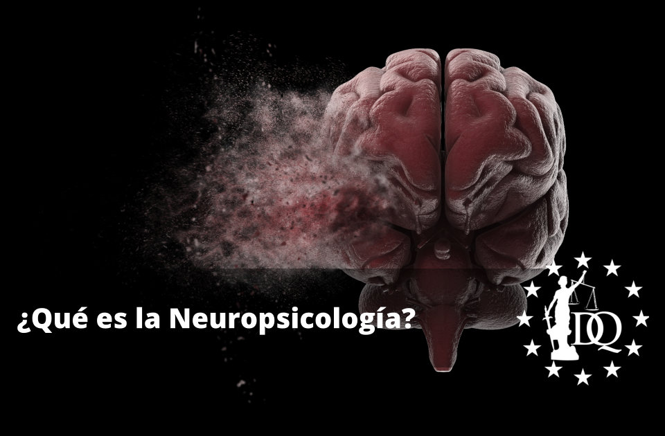 Qué es la Neuropsicología