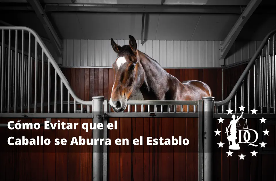 Cómo Evitar que el Caballo se Aburra en el Establo