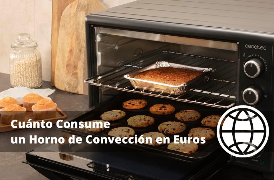 Cuánto Consume un Horno de Convección en Euros