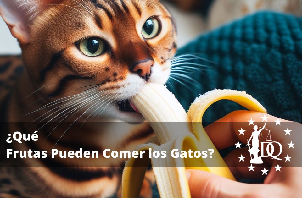 Qué Frutas Pueden Comer los Gatos