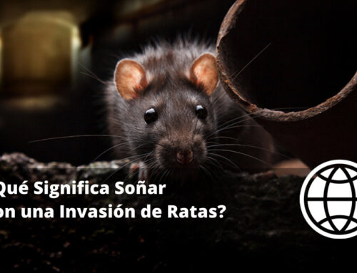 ¿Qué Significa Soñar con una Invasión de Ratas?