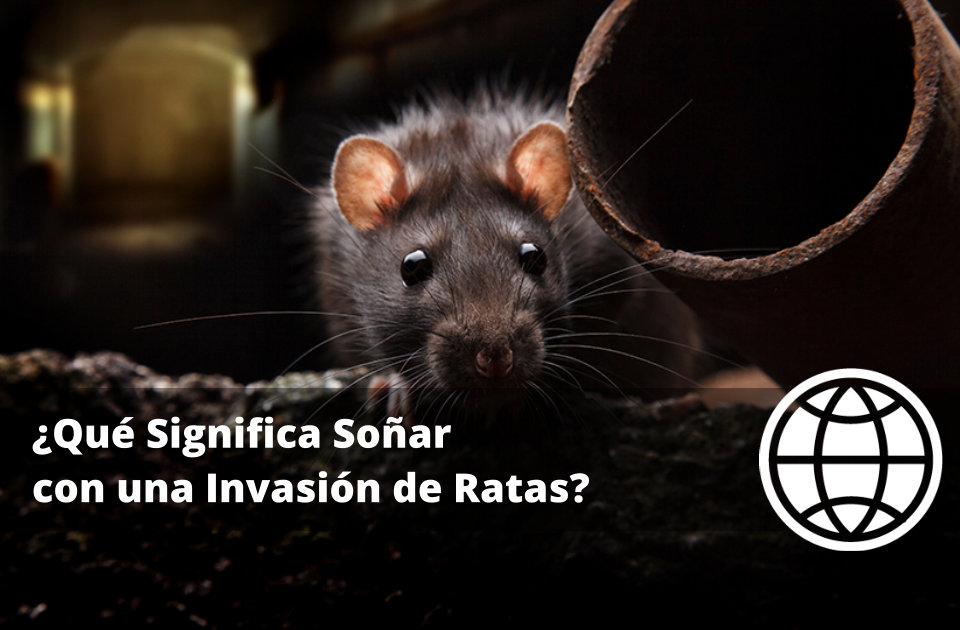 Qué Significa Soñar con una Invasión de Ratas