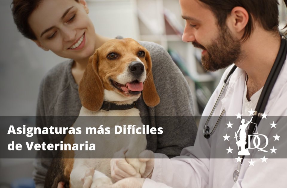 Asignaturas más Difíciles de Veterinaria