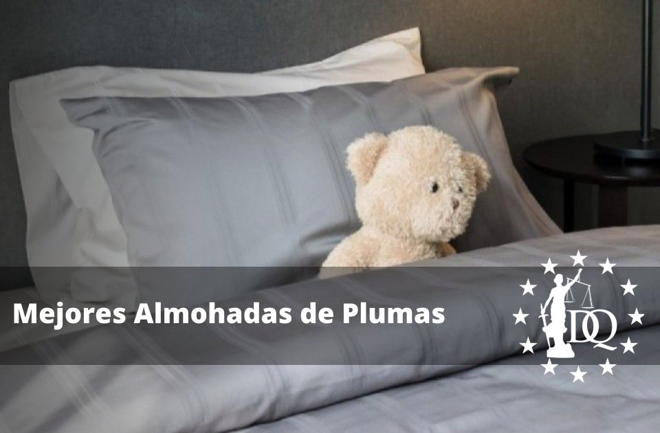 Las Mejores Almohadas de Plumas