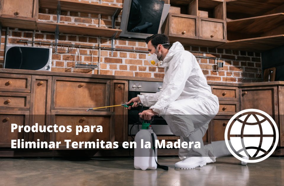 Productos para Eliminar Termitas en la Madera